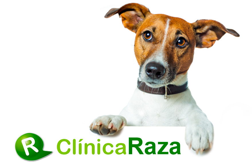 Razaclinica